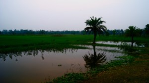 Acqua stagnante nei pressi di un villaggio