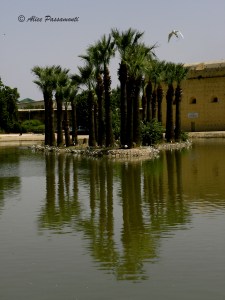 Fes, Marocco, 21 agosto 2016